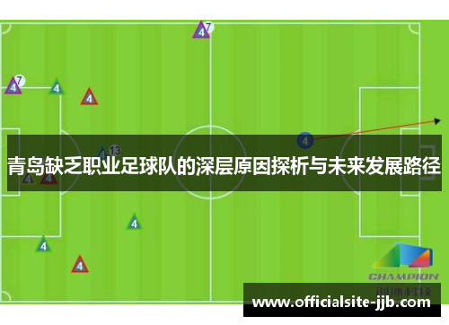 青岛缺乏职业足球队的深层原因探析与未来发展路径